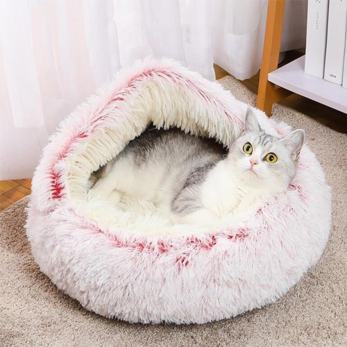 71bOBxxmO6L._AC_SL1500_.jpg
